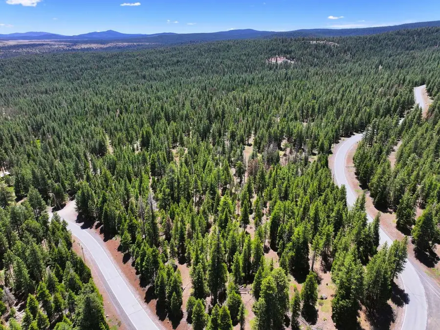 7783 California Pines Boulevard, Alturas, CA 96101 - #3