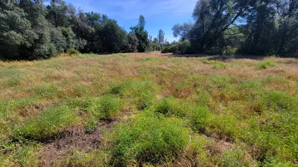 000 Brincat Manor Road, Cottonwood, CA 96022