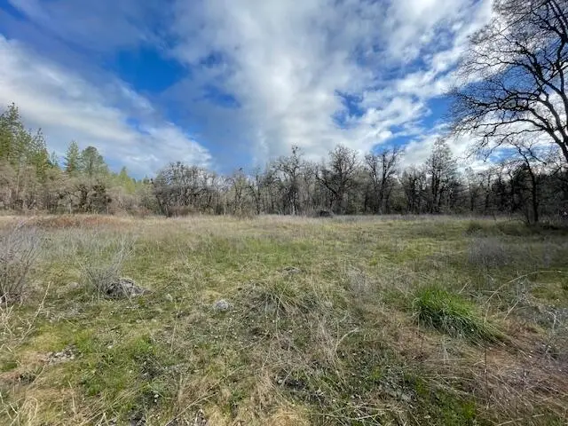 Donkey Mine And Madison 160 Ac Road, Oak Run, CA 96069 - #1