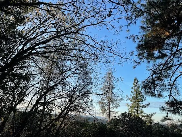 Donkey Mine And Madison 160 Ac Road, Oak Run, CA 96069 - #3