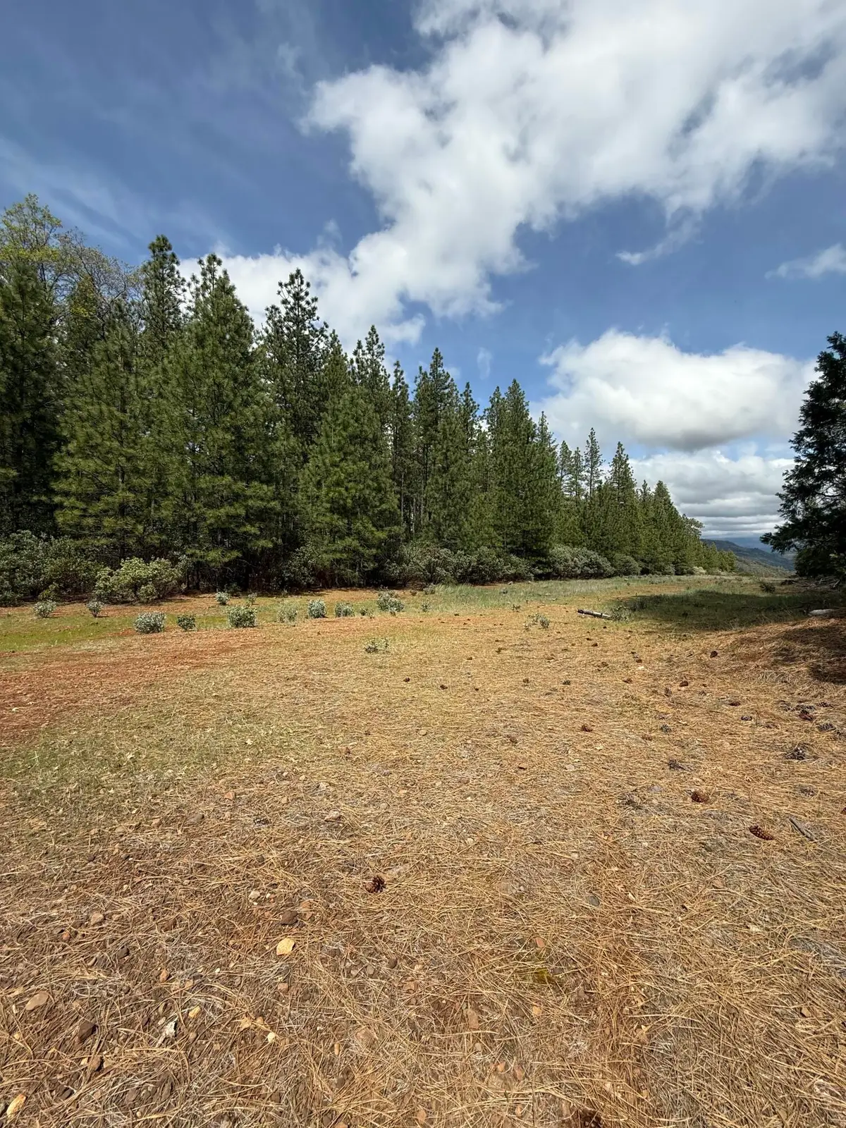 Ponderosa Way, Shingletown, CA 96088 - #1