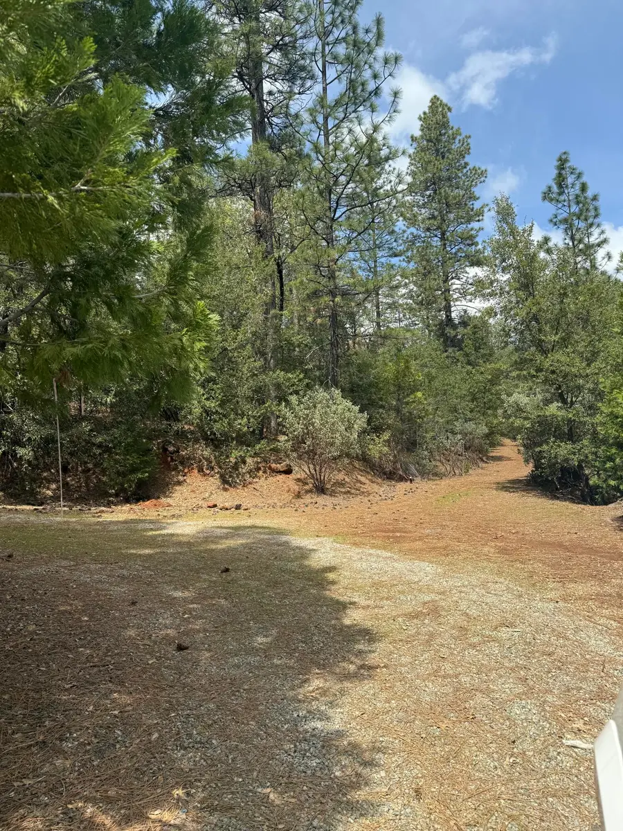 Ponderosa Way, Shingletown, CA 96088 - #3