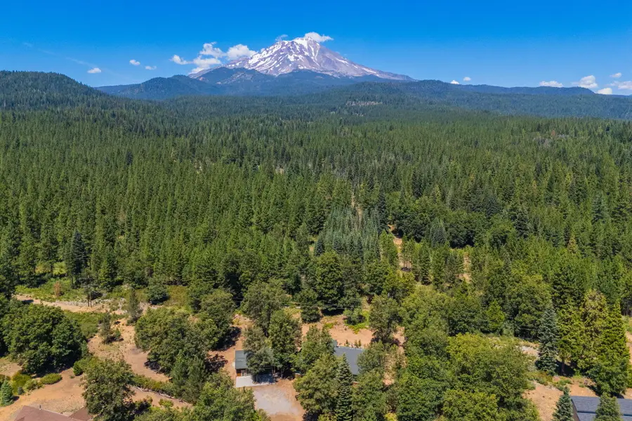 729 Dogwood Lane, McCloud, CA 96057 - #3