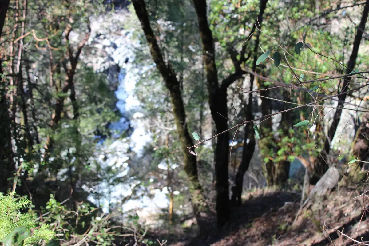 Fenders Ferry Road, Round Mountain, CA 96084 - #1