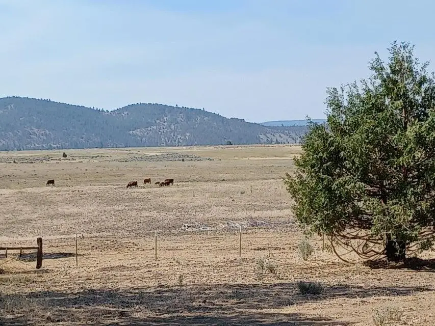 557-435 Center School House Road, Adin, CA 96006 - #2