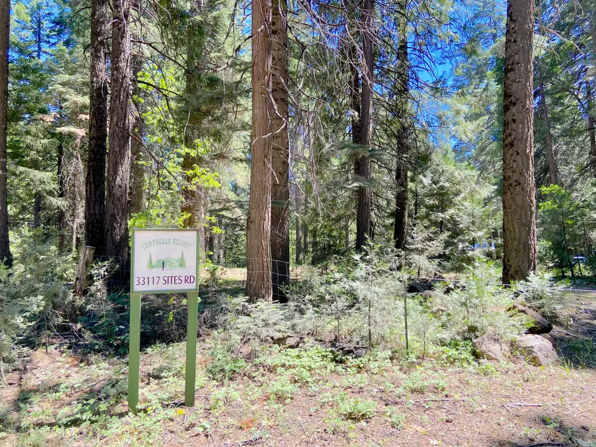 33117 Sites Road, Shingletown, CA 96088 - #1