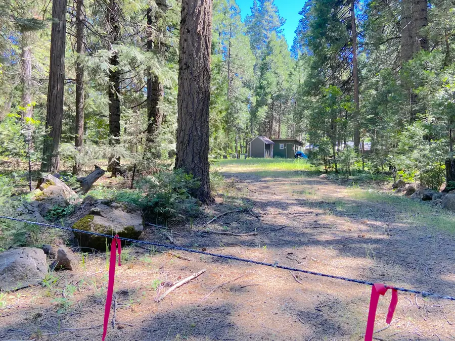 33117 Sites Road, Shingletown, CA 96088 - #2