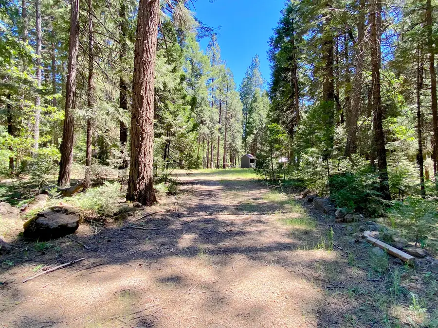 33117 Sites Road, Shingletown, CA 96088 - #3