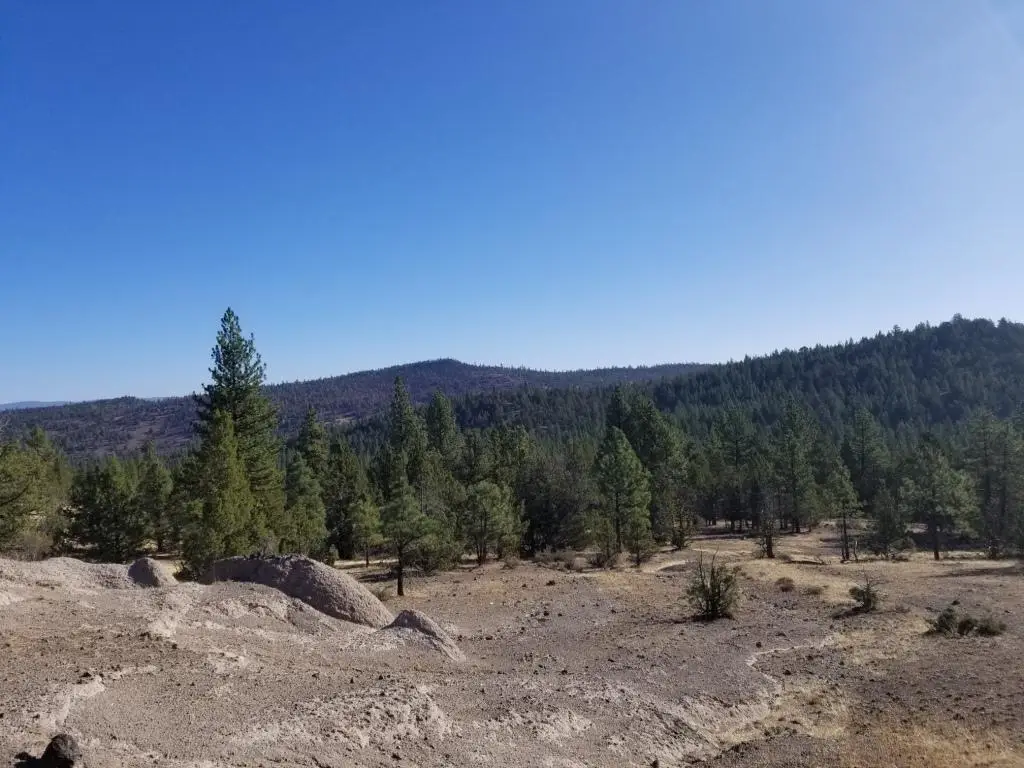 NSA Anderson Ranch Road, Bieber, CA 96009 - #1