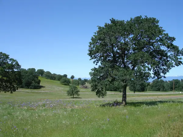 LOT 13 Sunset Hills Drive, Cottonwood, CA 96022