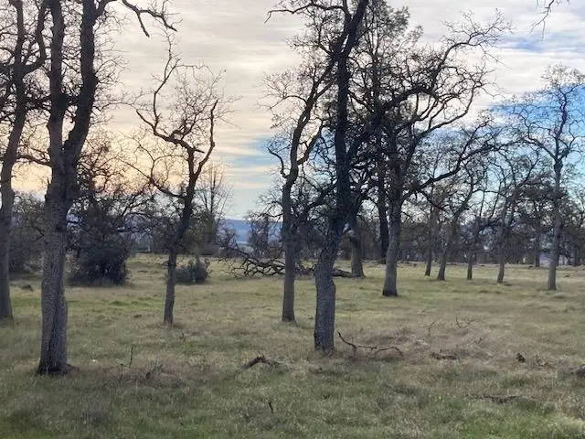Campo Dios Road, Shingletown, CA 96088 - #1