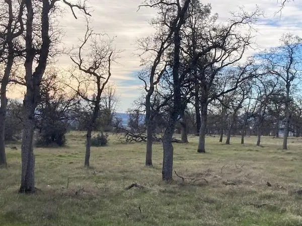 Campo Dios Road, Shingletown, CA 96088