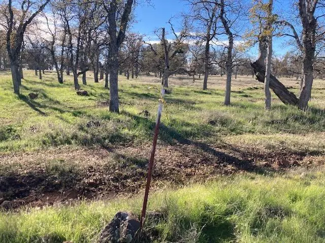 Campo Dios Road, Shingletown, CA 96088 - #2