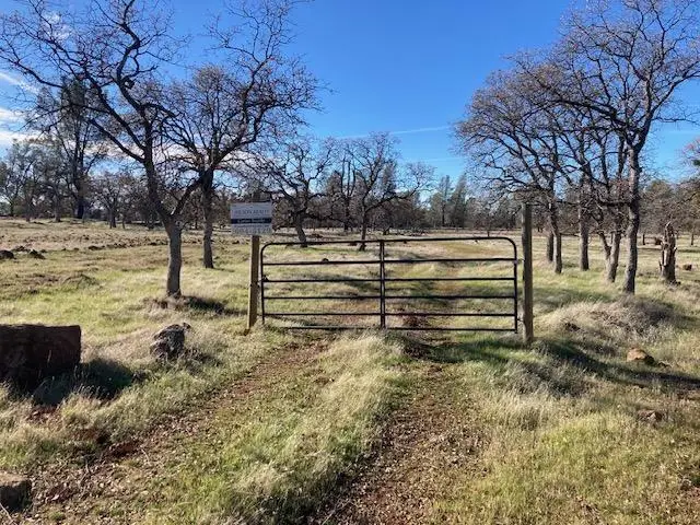 Campo Dios Road, Shingletown, CA 96088 - #3