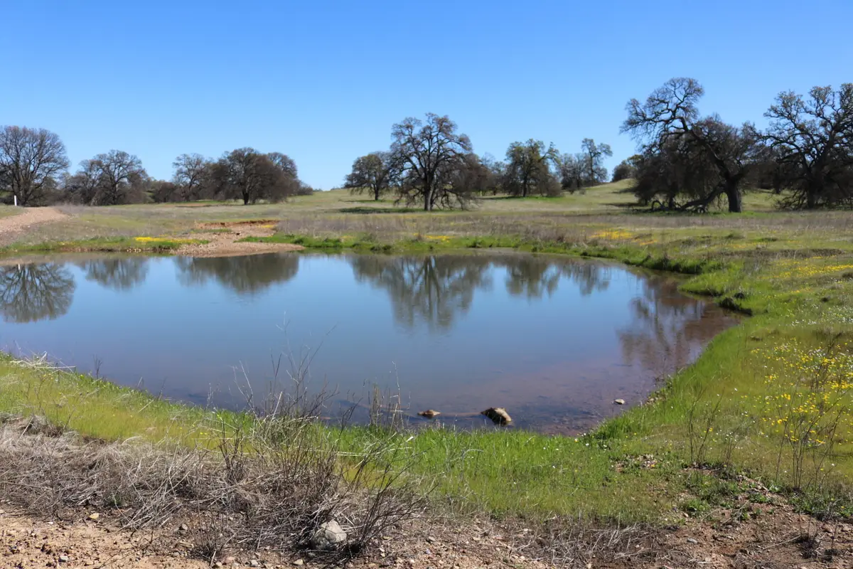 LOT 41 Del Mar Drive, Cottonwood, CA 96022 - #1