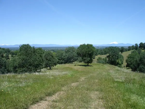 LOT 58 Pimlico Court, Cottonwood, CA 96022