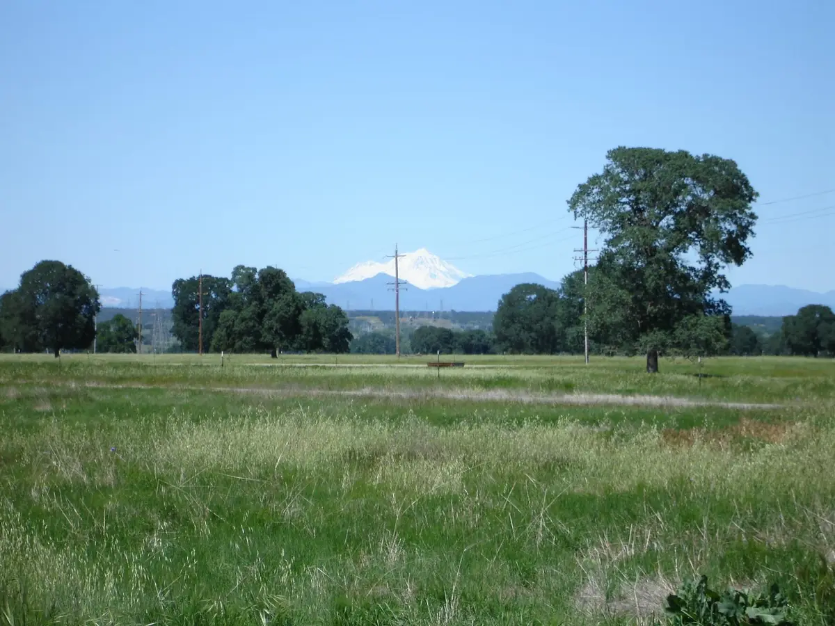 LOT 64 River Downs Way, Cottonwood, CA 96022 - #1