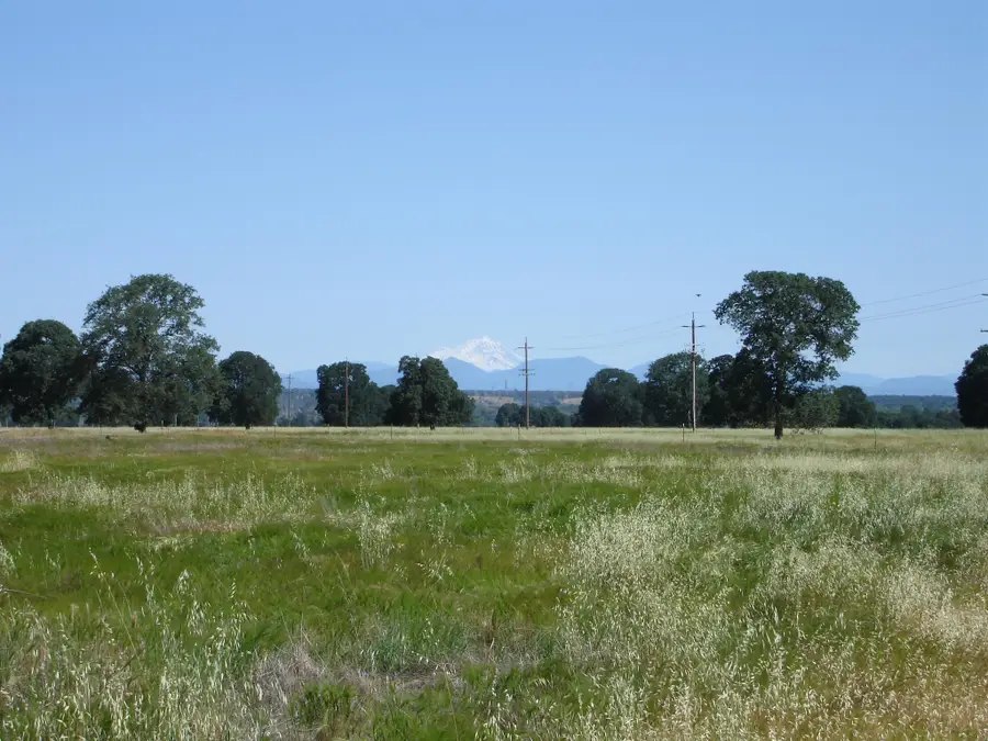 LOT 64 River Downs Way, Cottonwood, CA 96022 - #3