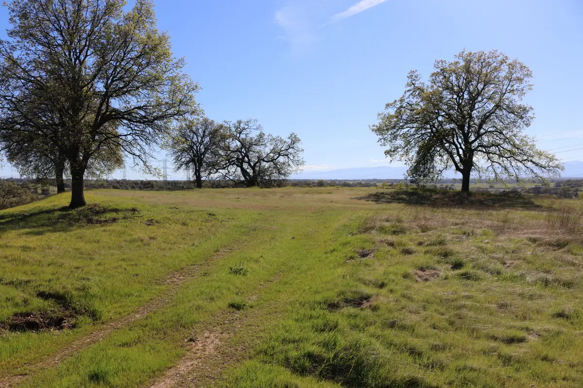 LOT 80 Pimlico Court, Cottonwood, CA 96022 - #1