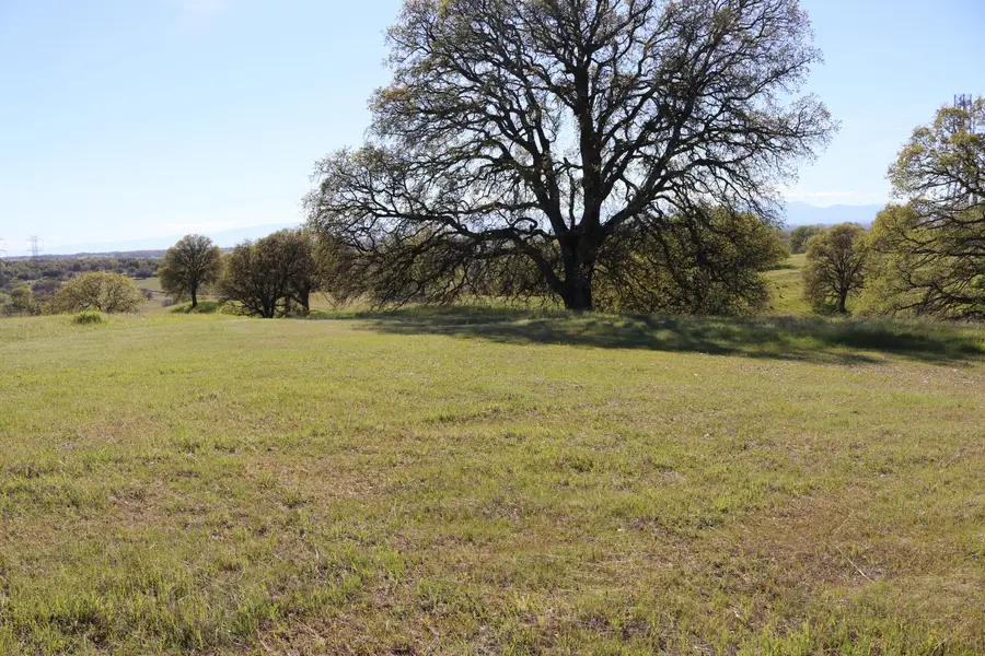 LOT 80 Pimlico Court, Cottonwood, CA 96022 - #2