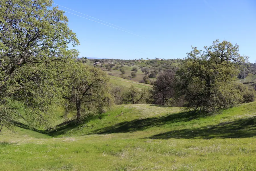 LOT 80 Pimlico Court, Cottonwood, CA 96022 - #3