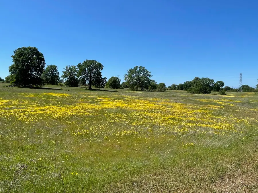 LOT 71 Arlington Park Place, Cottonwood, CA 96022 - #2
