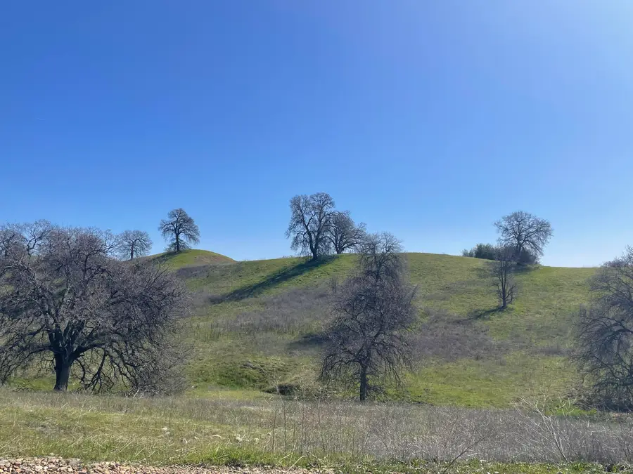 LOT 61 Del Mar Drive, Cottonwood, CA 96022 - #2