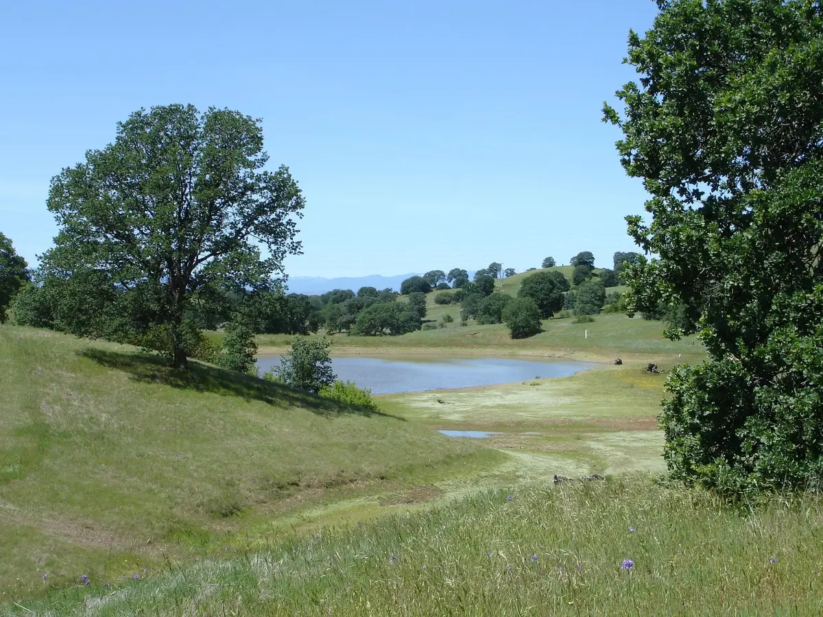 LOT 9 River Downs Way, Cottonwood, CA 96022 - #1