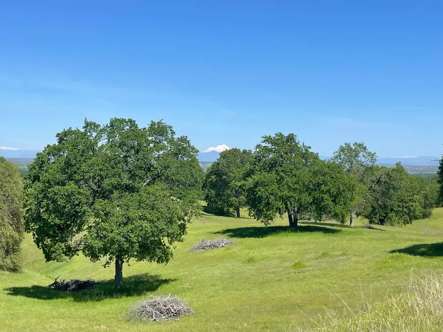 LOT 75 River Downs Way, Cottonwood, CA 96022 - #3