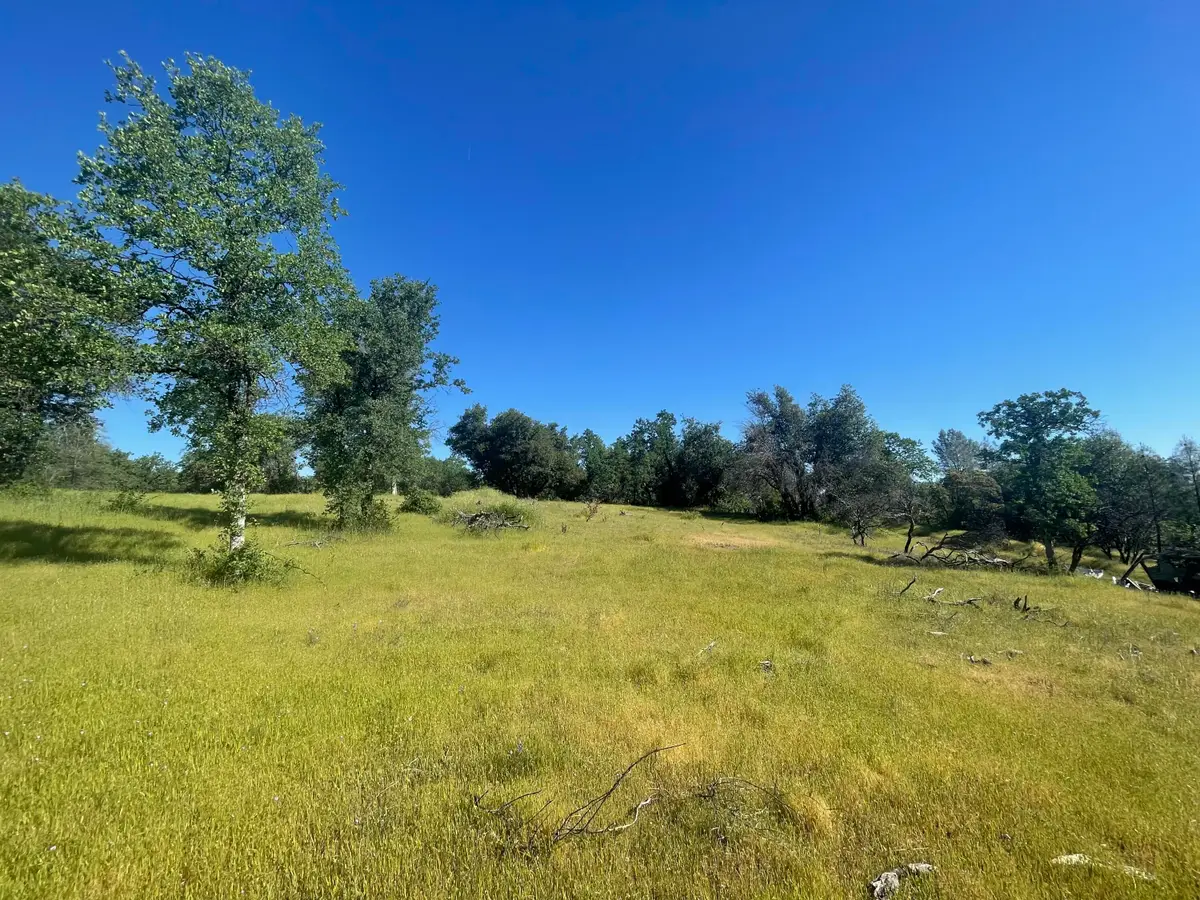 0000 Snavely Road, Redding, CA 96003 - #1