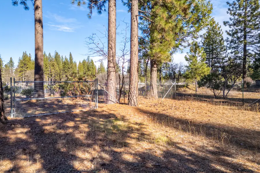 Serpentine Lane, Burney, CA 96013 - #2