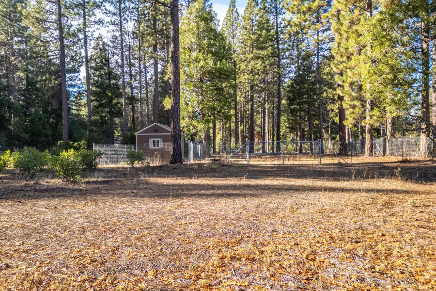 Serpentine Lane, Burney, CA 96013 - #3