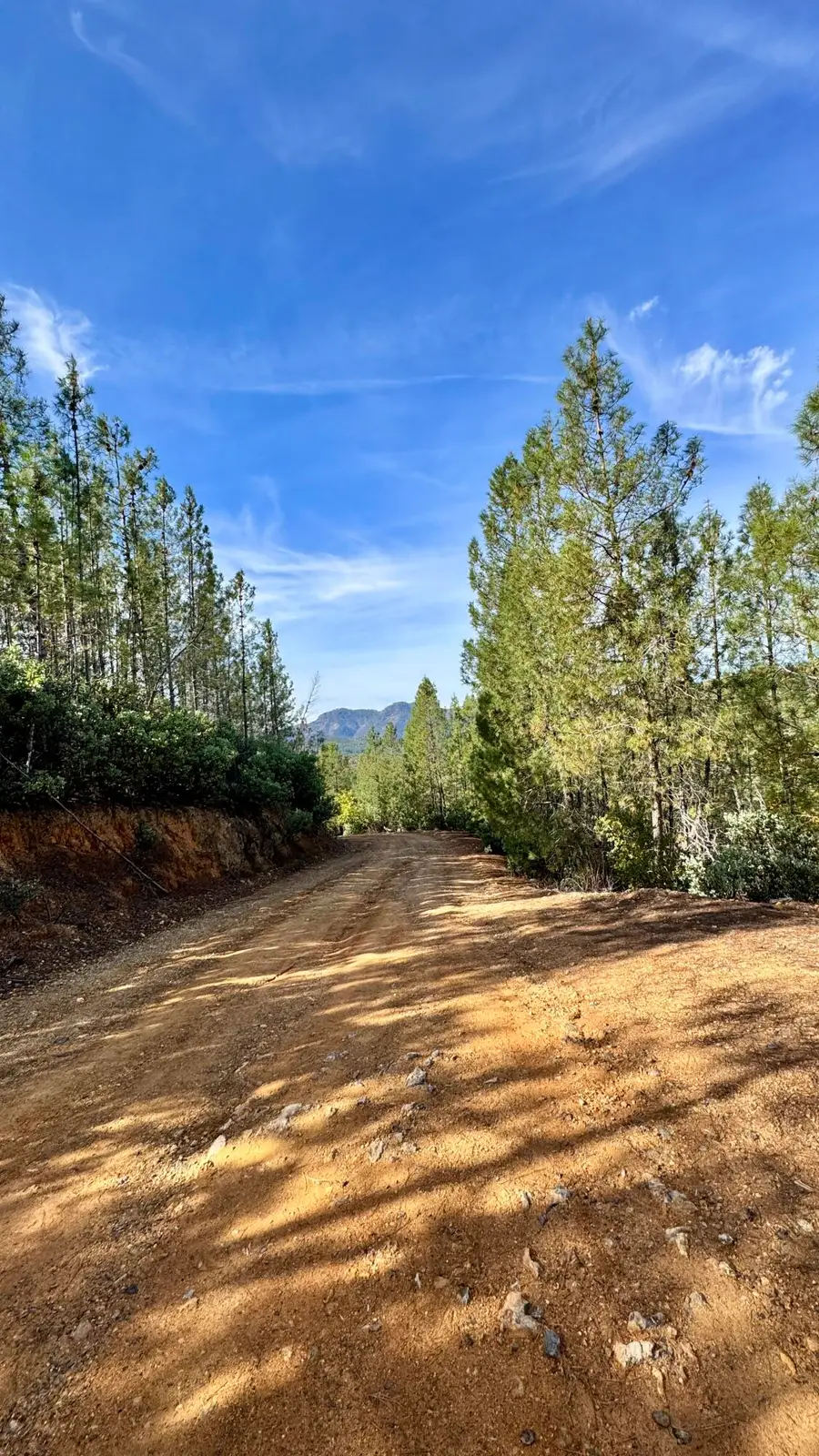 20 Acres Jones Valley, Redding, CA 96008 - #2