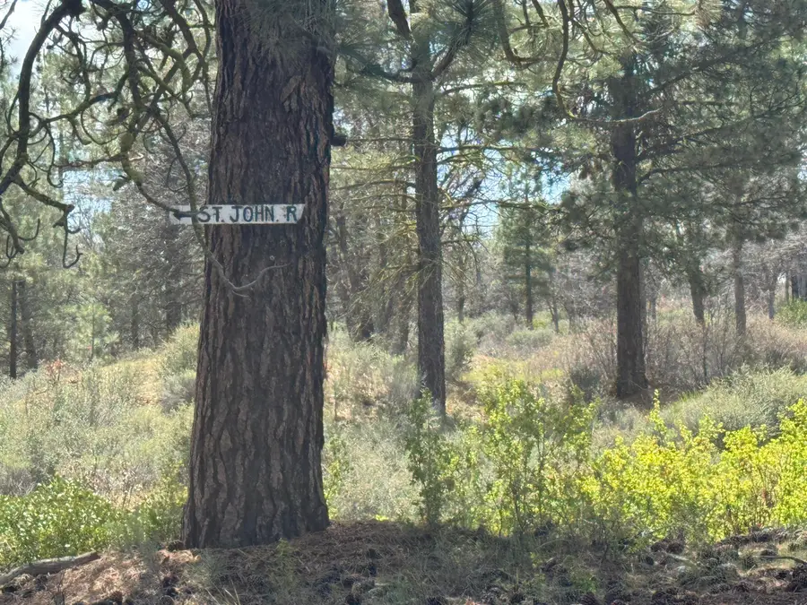 60 acres St John Ranch Road, Fall River Mills, CA 96028 - #3