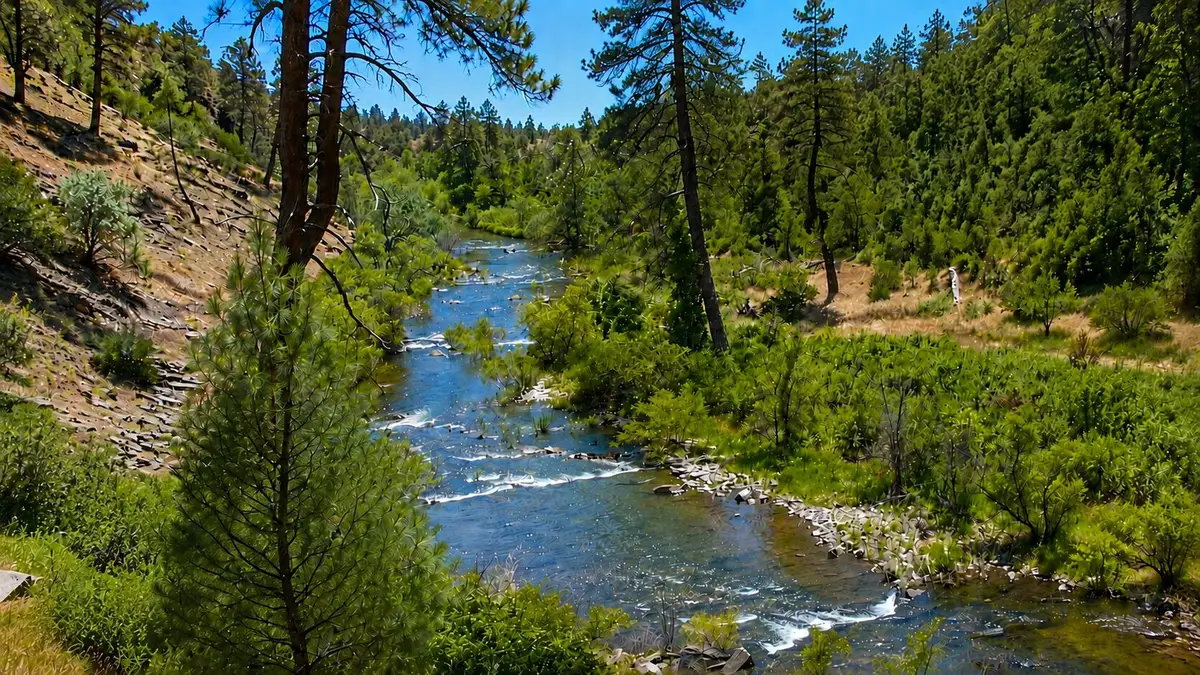 Lot 229 Yolla Bolly Road, Ono, CA 96047 - #1