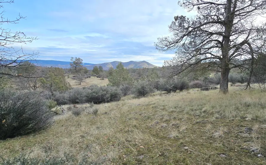 730,731 Grouse Way, Hornbrook, CA 96044 - Image #3