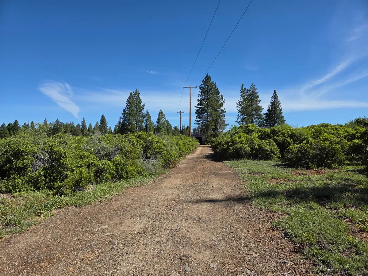 7903 Airport Way, Shingletown, CA 96088 - #1