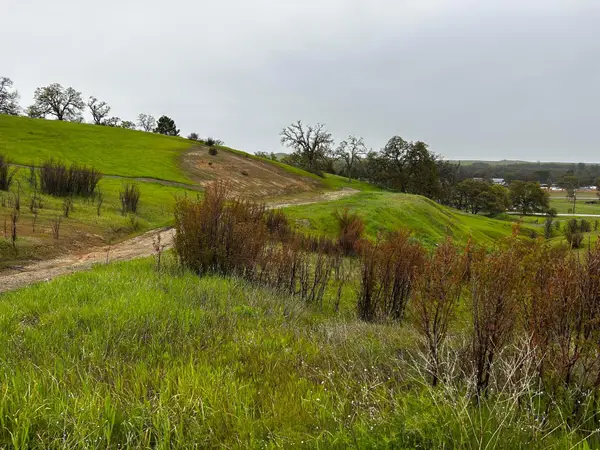 17260 Hillcrest Drive, Corning, CA 96021