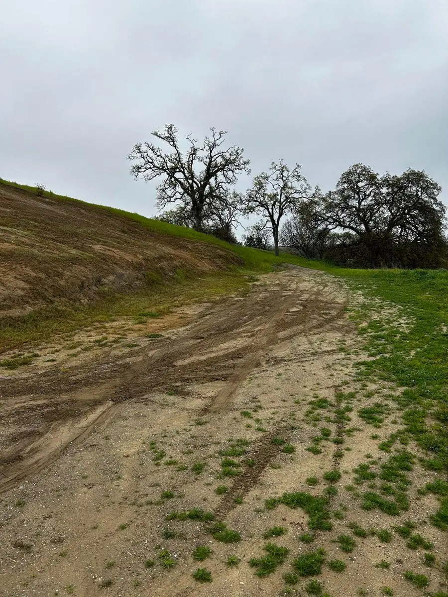 17260 Hillcrest Drive, Corning, CA 96021 - Image #3