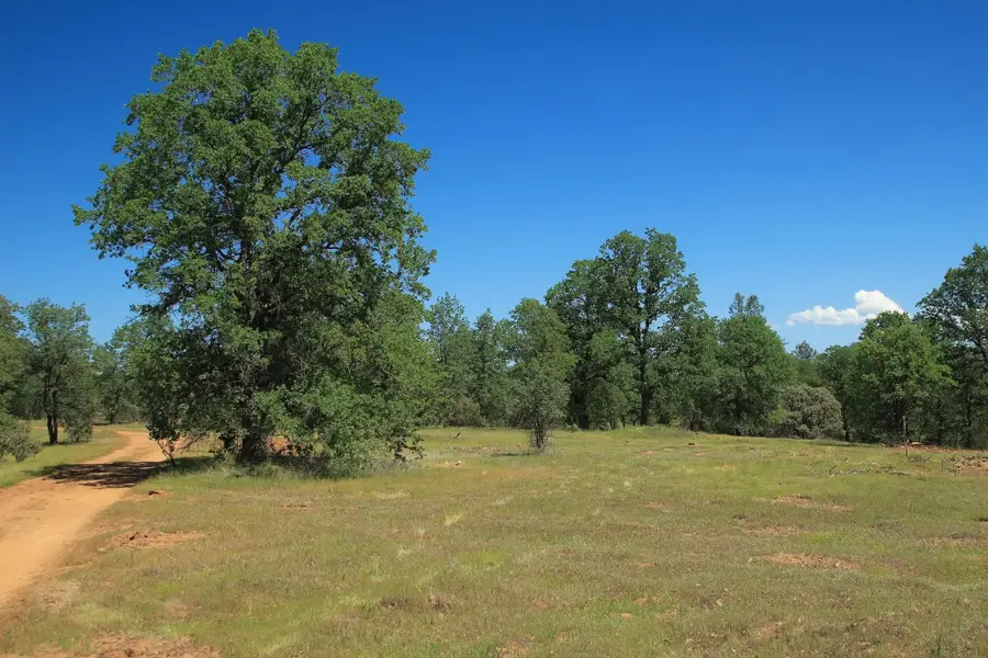 0000 Old 44 Drive, Redding, CA 96003 - #2