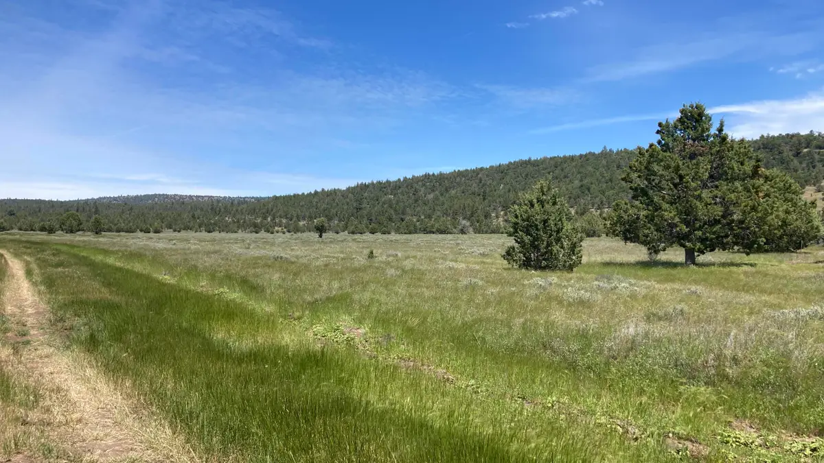 NSA Loomis Cabin Road, Little Valley, CA 96056 - #1