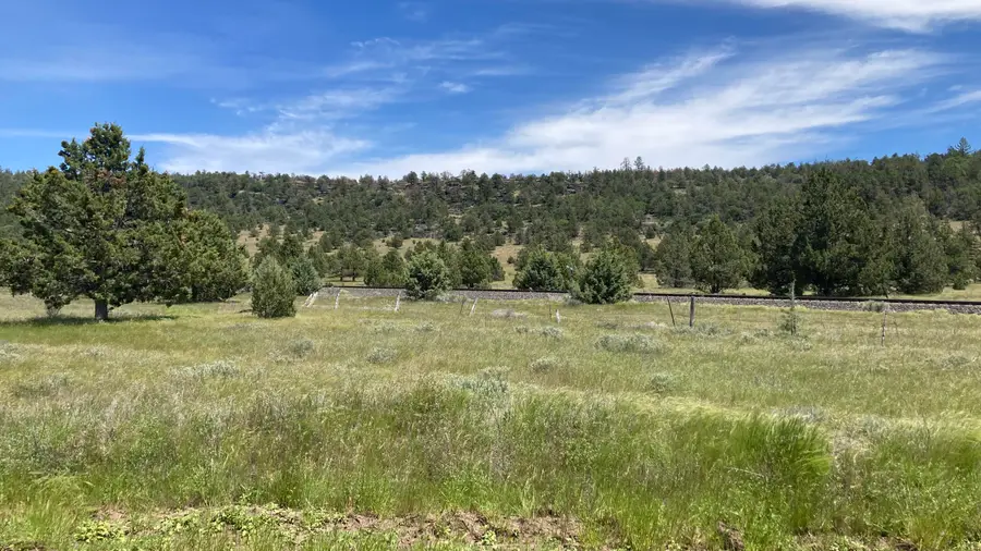 NSA Loomis Cabin Road, Little Valley, CA 96056 - #3