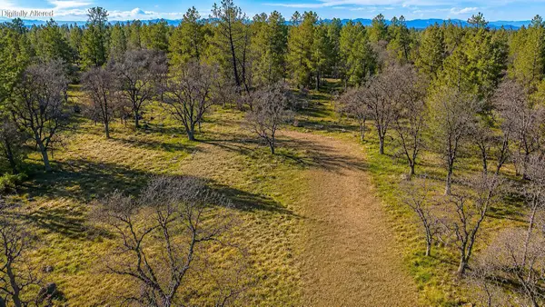 Cherith Brook Drive, Shingletown, CA 96088