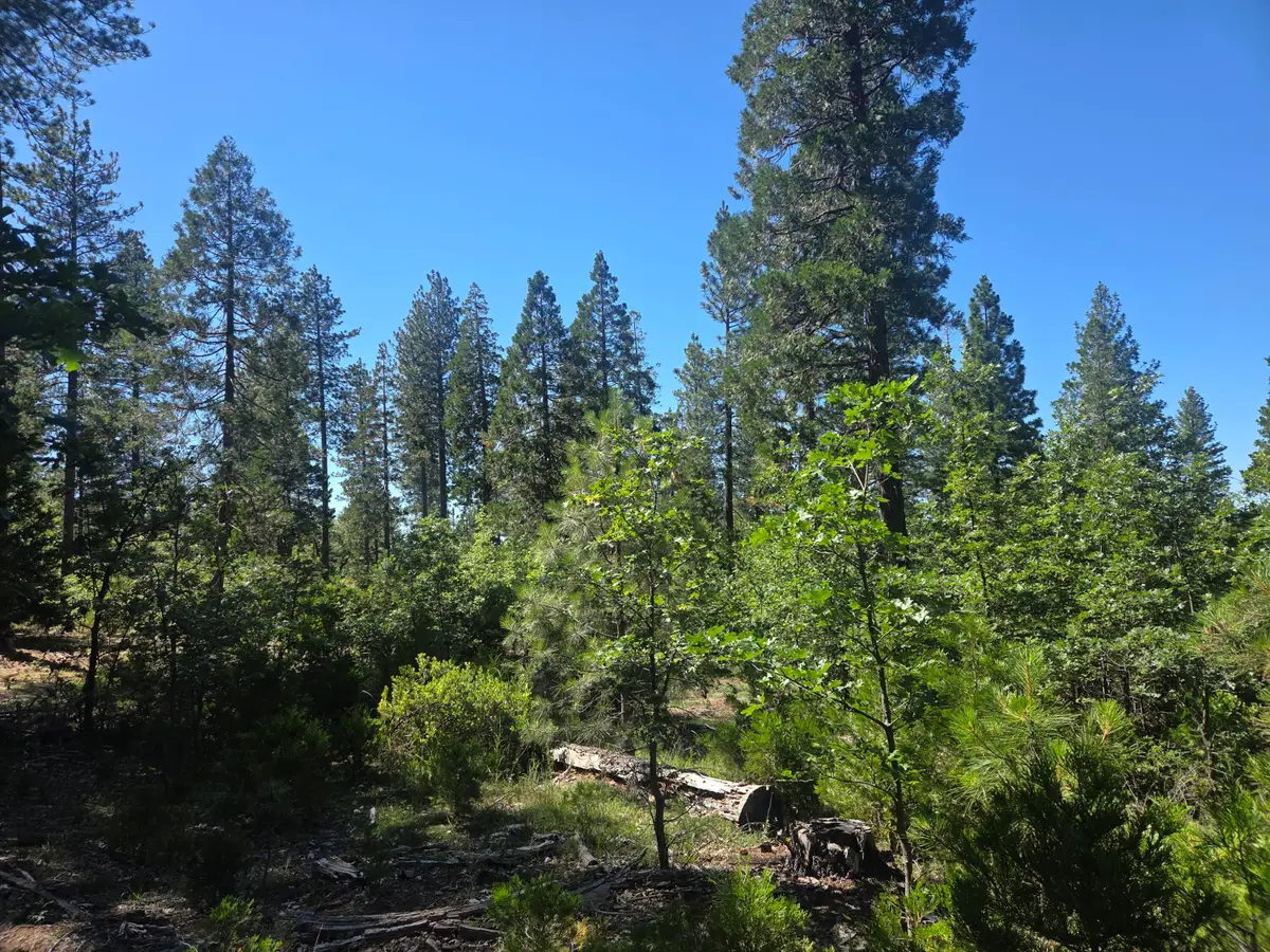 Lot 5 Waterleaf Lane, Shingletown, CA 96088 - #1