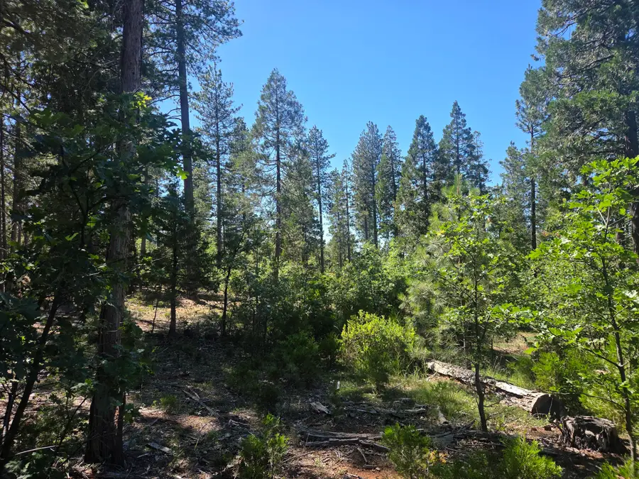 Lot 5 Waterleaf Lane, Shingletown, CA 96088 - #3