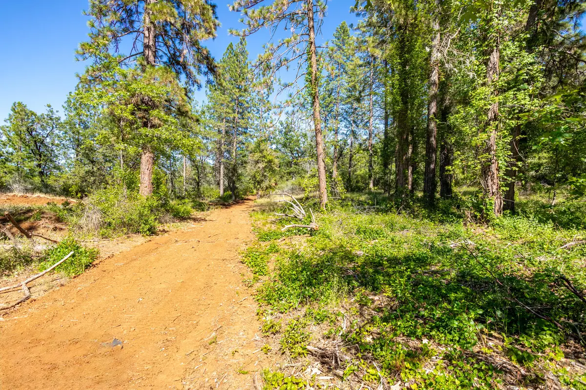 Vista La Vega, Shingletown, CA 96088 - #1