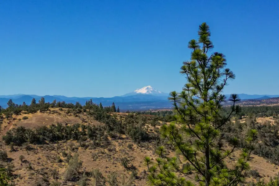 Vista La Vega, Shingletown, CA 96088 - #2