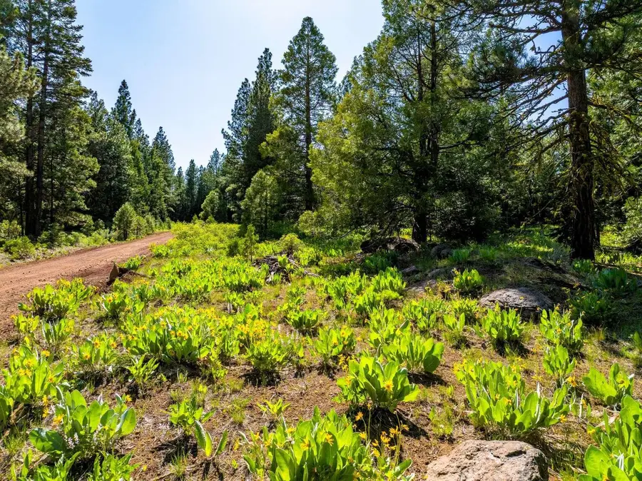 9454 Ridge Road, Alturas, CA 96101 - #2