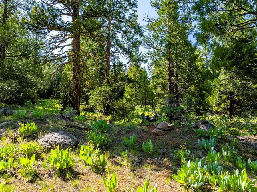 9454 Ridge Road, Alturas, CA 96101 - #3
