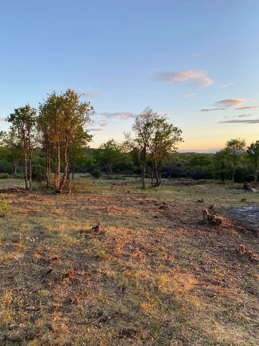 0000 Terry Mill Road, Round Mountain, CA 96084 - #2